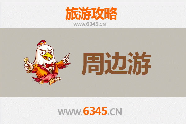 阿里措勤周边游攻略：探秘藏北秘境与野生动物天堂